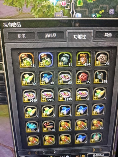 龙之谷团购仓库类型全解析，搬砖党必看的存储避坑指南