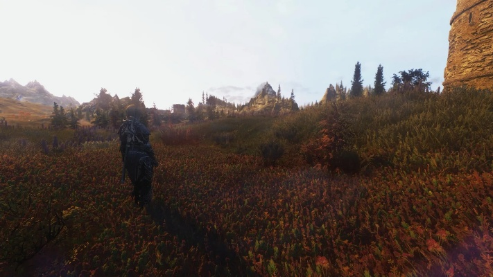 别再瞎装了！2025天际MOD安装避坑与画质极致优化