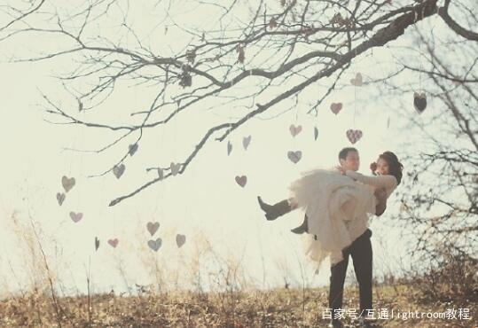 情人节必读：奇幻情缘，探寻爱的神秘力量