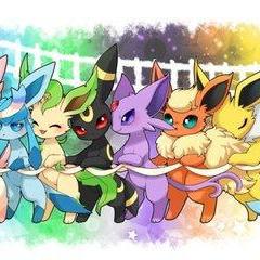 揭秘太阳之伊布，从进化到神级实战教学