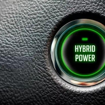 2025私服客户端下载避坑指南，如何安全获取纯净启动器？