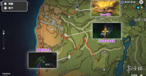 原神树王圣体菇怎么刷最快？须弥雨林全位置与采集技巧