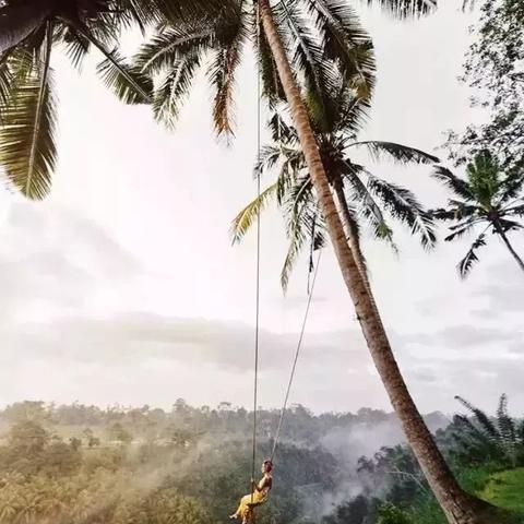 搜打撤游戏从小众逆袭爆火，此玩法能否持续成厂商版本答案？