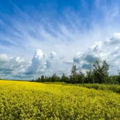 辐射第二季首集解析，25个游戏彩蛋与细节揭秘