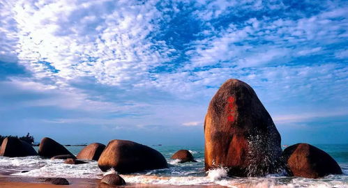 天涯图影类型大盘点,从风景到时装,教你霸榜新版本 天涯图影类型大盘点,从风景到时装,教你霸榜新版本