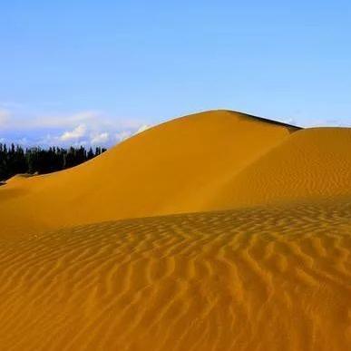 赤色沙漠各版本内容对比,玩法差异全解析 赤色沙漠各版本内容对比,玩法差异全解析