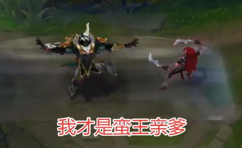 三谋S13装备马匹指南,蛮王盾完全体或成版本答案 三谋S13装备马匹指南,蛮王盾完全体或成版本答案