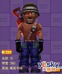 疯狂弹头最强搭配与隐藏代码揭秘，新手如何快速通关？