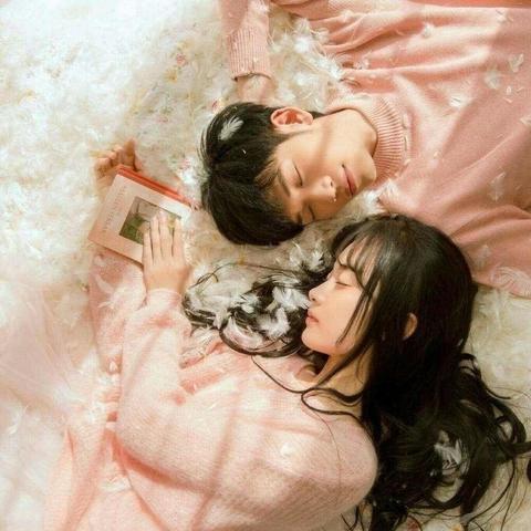 完美伴侣全结局深度拆解,如何避雷BE直达隐藏真结局? 完美伴侣全结局深度拆解,如何避雷BE直达隐藏真结局?