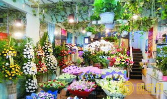 揭秘花店物语快速赚钱门道，新手也能轻松月入百万