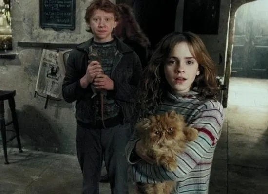 艾玛·沃森曾饰多萝茜？哈利·波特铁三角拒演绿野仙踪改编