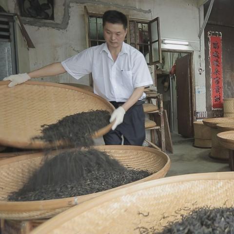 魔炉类型怎么选？2025最新上分流派全解析与实战避坑指南