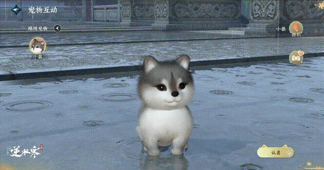 宠物浮元子怎么刷最快？逆水寒手游萌新必看升级指南