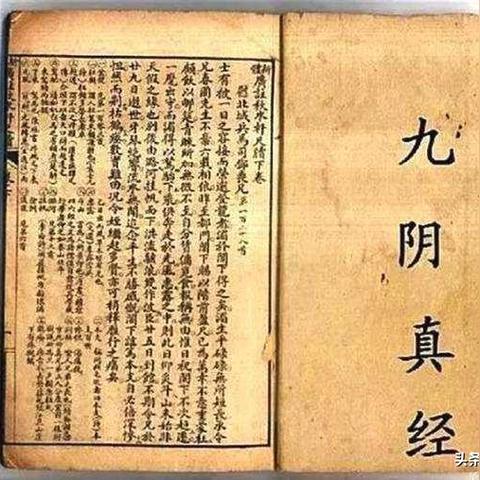 告别被秒！九阴真经架招机制全解与实战搭配指南