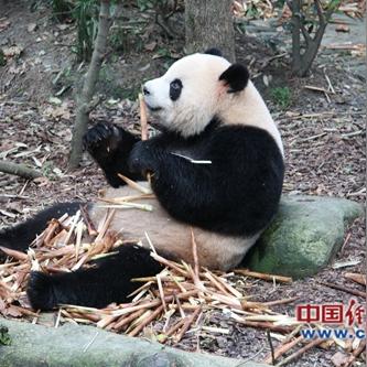 游戏硬件停滞十年,未必是坏事?玩家痛点解析 游戏硬件停滞十年,未必是坏事?玩家痛点解析