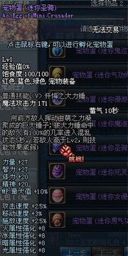 别乱买！2026DNF宠物类型深度剖析与平民最优解