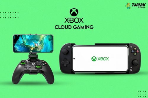 Asha Sharma回应AI运营传言并分享Xbox游戏ID