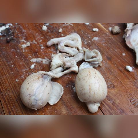 dnf手游：震惊了！体验服更新3.18福利活动！全民送100点疲劳药！福利有点‘大’！铁锅炖不下！