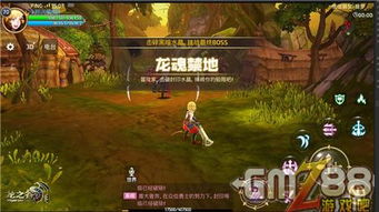 龙之谷官方网，为何玩家忽略它却错失海量福利？