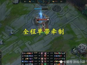 别再乱养了！艾梅莉埃圣遗物与武器最优解揭秘