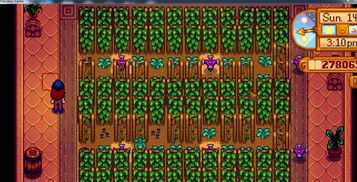 星露谷物语星之果实杰作怎么用?全收益分析与最强酿造攻略 星露谷物语星之果实杰作怎么用?全收益分析与最强酿造攻略