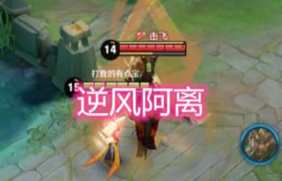 四大风辅谁配法尔伽？实测伤害对比，差距惊人！