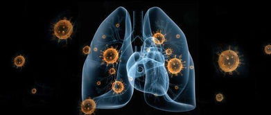 真菌世界怎么玩？2026硬核进化树与宿主感染全解