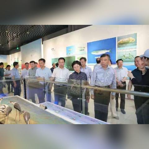 揭秘2013夏日礼包,DNF经典夏日套含金量与怀旧价值深度评测 揭秘2013夏日礼包,DNF经典夏日套含金量与怀旧价值深度评测