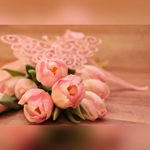 网易千千壁纸,免费海量超清动态壁纸,让桌面动起来! 网易千千壁纸,免费海量超清动态壁纸,让桌面动起来!