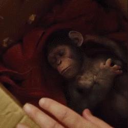 恐怖黎明最终资料片定档2026,十周年重磅献礼! 恐怖黎明最终资料片定档2026,十周年重磅献礼!