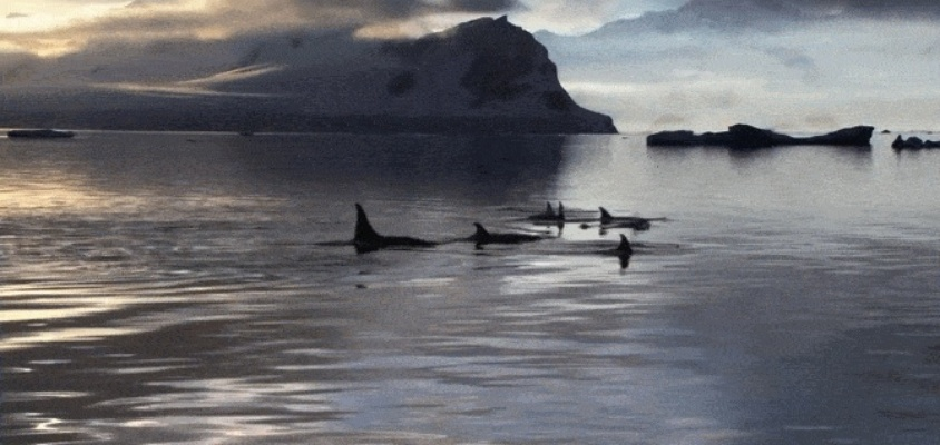 网易千千壁纸,海量动态壁纸免费下载,桌面即刻焕新! 网易千千壁纸,海量动态壁纸免费下载,桌面即刻焕新!