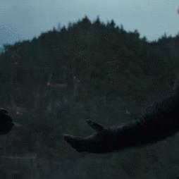 《恐怖黎明》十周年 官宣最终资料片2026年发售