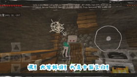 Ruse实战攻略，揭秘顶级高手的伪装博弈术