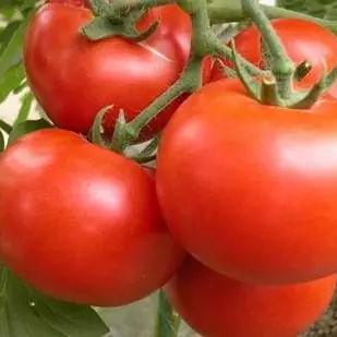 网易云游戏免下载！异环4月23日全平台公测，手机电脑随时开玩