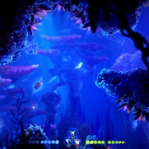 奥日与精灵意志Boss打不过?掌握猛击机制轻松无伤通关 奥日与精灵意志Boss打不过?掌握猛击机制轻松无伤通关