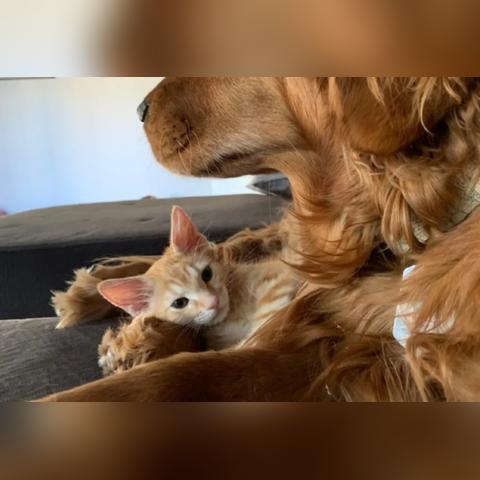 英雄萨姆3 BFE硬核攻略，征服英雄模式与全秘密