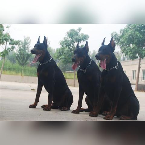 未命名游戏攻略,新手入门与进阶技巧 未命名游戏攻略,新手入门与进阶技巧