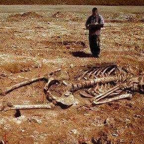 巨人城废墟怎么过?32关无伤卡点与泰坦击杀实战教学 巨人城废墟怎么过?32关无伤卡点与泰坦击杀实战教学