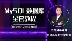 零基础拿满情人节成就?2026终极攻略,独家数据揭秘 零基础拿满情人节成就?2026终极攻略,独家数据揭秘