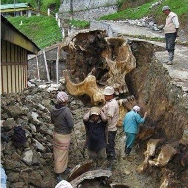 CF巨人城废墟怎么卡点？泰坦无伤通关全流程教学