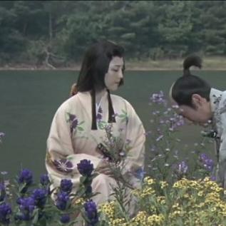 战国无双2阿市怎么玩？揭秘隐藏T0级女武神的养成路