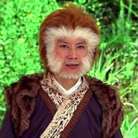 斗战神棍系灵猴怎么加点？揭秘2026年极限暴力输出手法