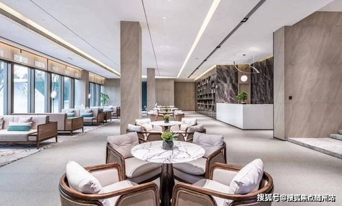 揭秘世界评议会类型差异，高收益阵容搭配指南