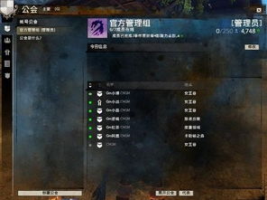 激战2三大组织避坑,公会战队社区核心玩法揭秘 激战2三大组织避坑,公会战队社区核心玩法揭秘