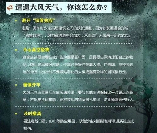 断箭下载避坑指南，如何选对版本并极速安装？