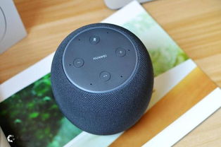 表白被踢飞音响类型大揭秘，音效与设备全攻略