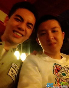 揭秘OMG柚子微博类型，玩家如何精准锁定高能游戏动态？