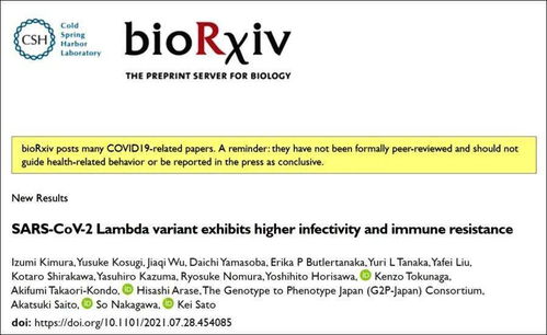 脑叶公司活体脑细胞类型全解析，如何搭配属性应对高危异想体？