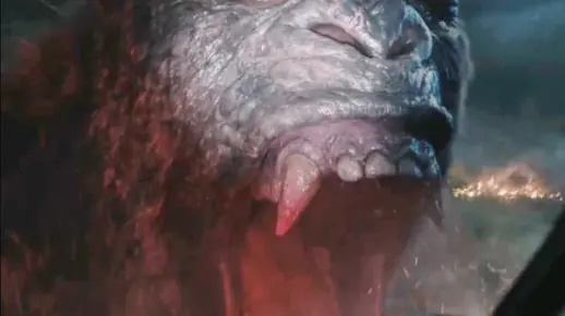 帝王计划怪兽类型怎么选?2026年最强阵容搭配与克制关系全揭秘 帝王计划怪兽类型怎么选?2026年最强阵容搭配与克制关系全揭秘