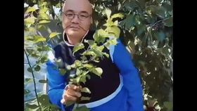 面筋哥翻车启示录，草根网红如何避免昙花一现的流量陷阱？